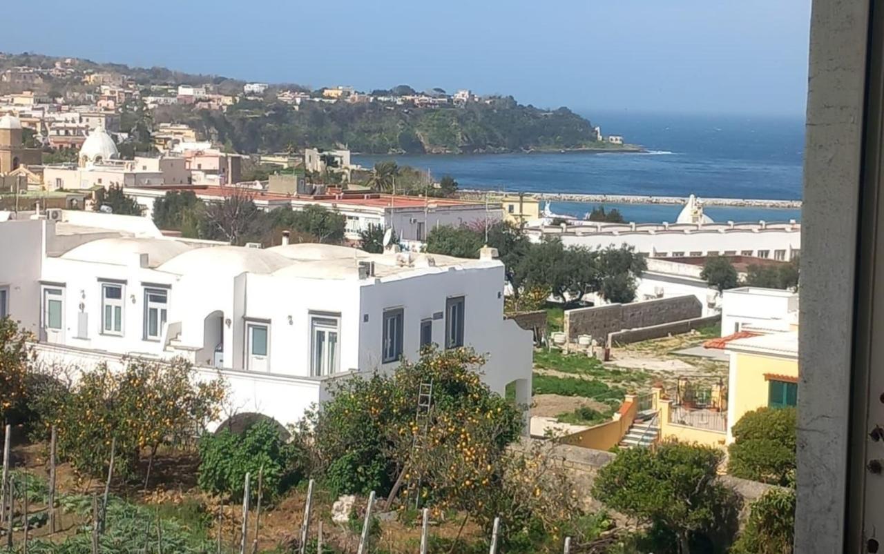 Villa La Casa Dei Sogni Procida Exterior foto