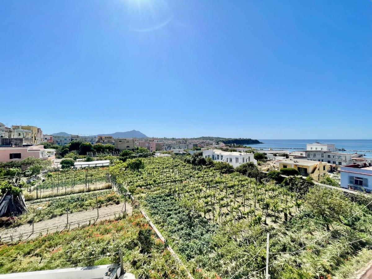 Villa La Casa Dei Sogni Procida Exterior foto