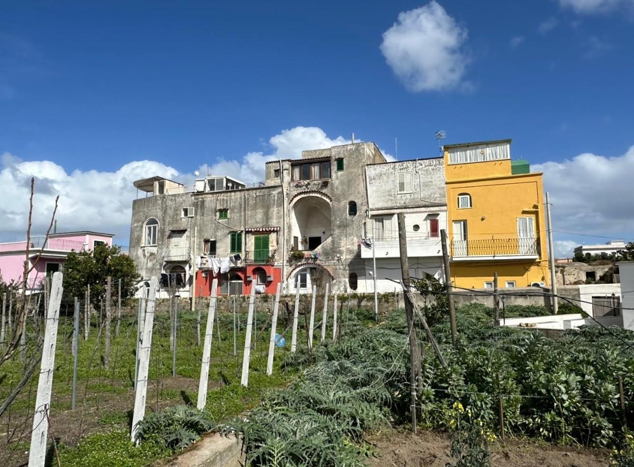 Villa La Casa Dei Sogni Procida Exterior foto